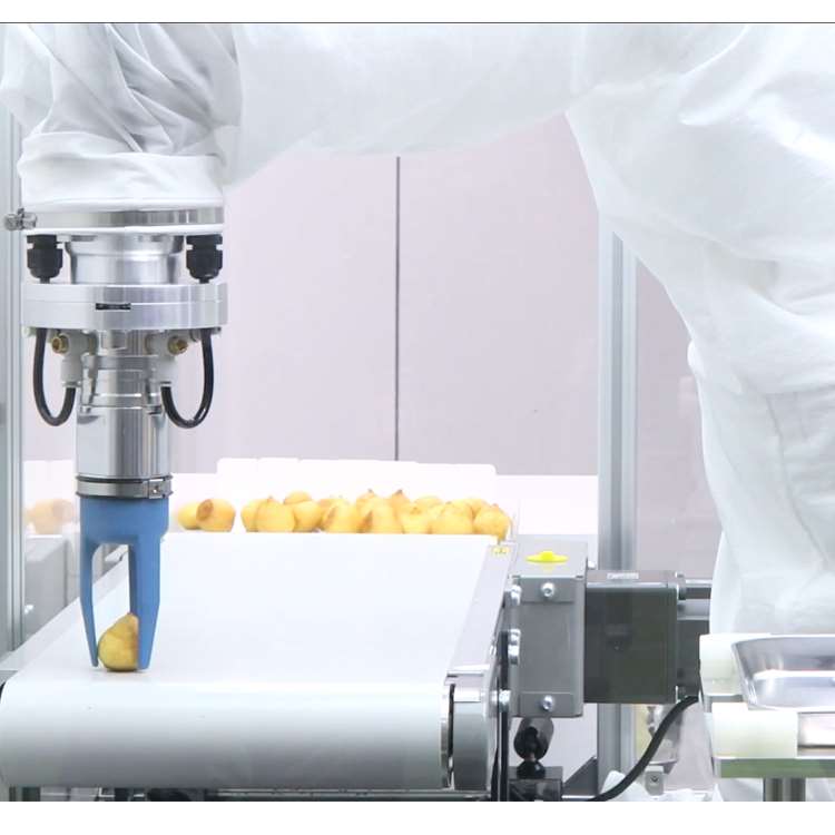 Brazo Robótico CNC de 6 Ejes c - Linear Rail reseña y precio